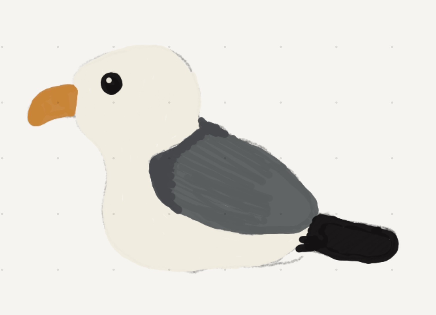 Seagull illustration