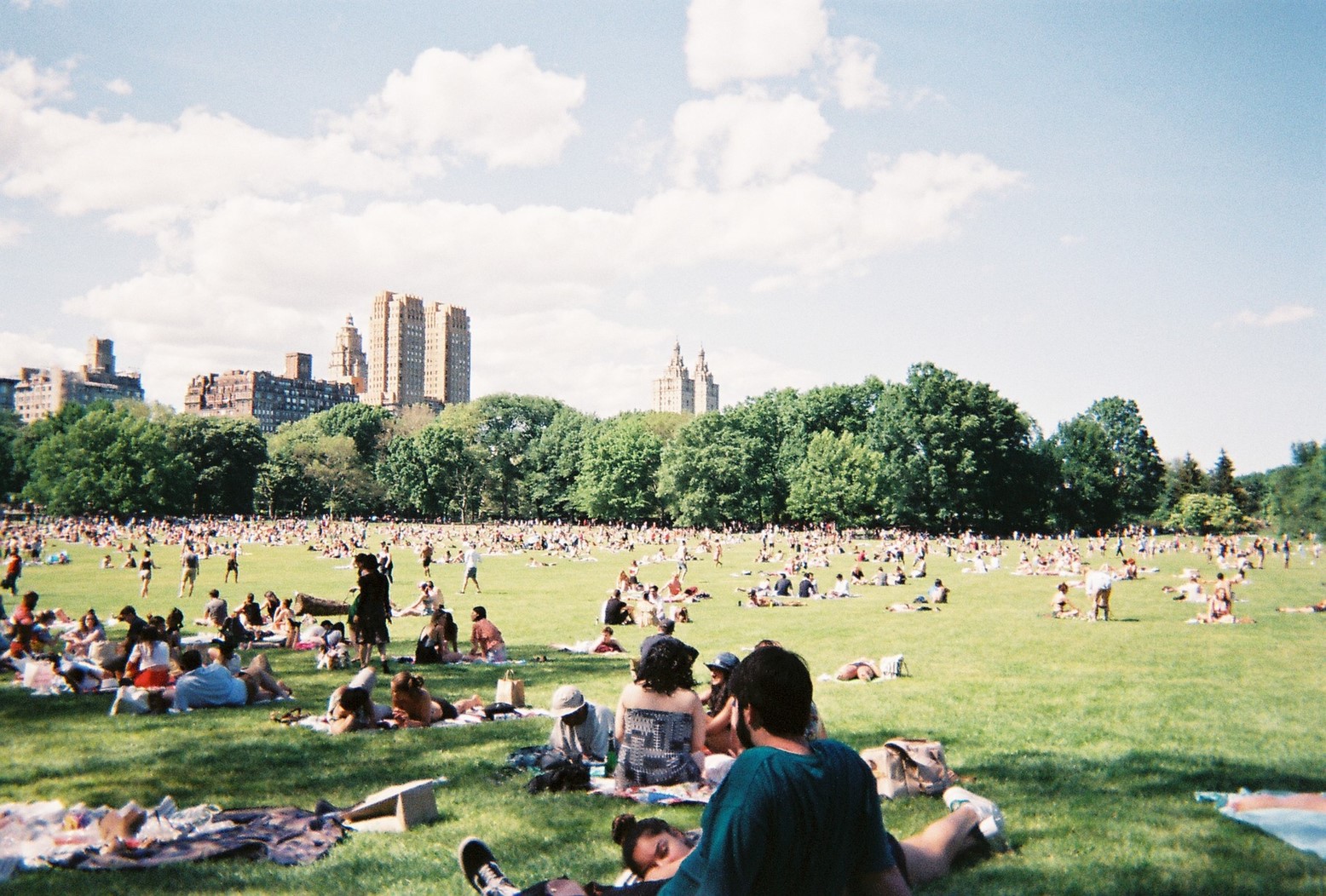 New York City — the morning Central Park dogwalker