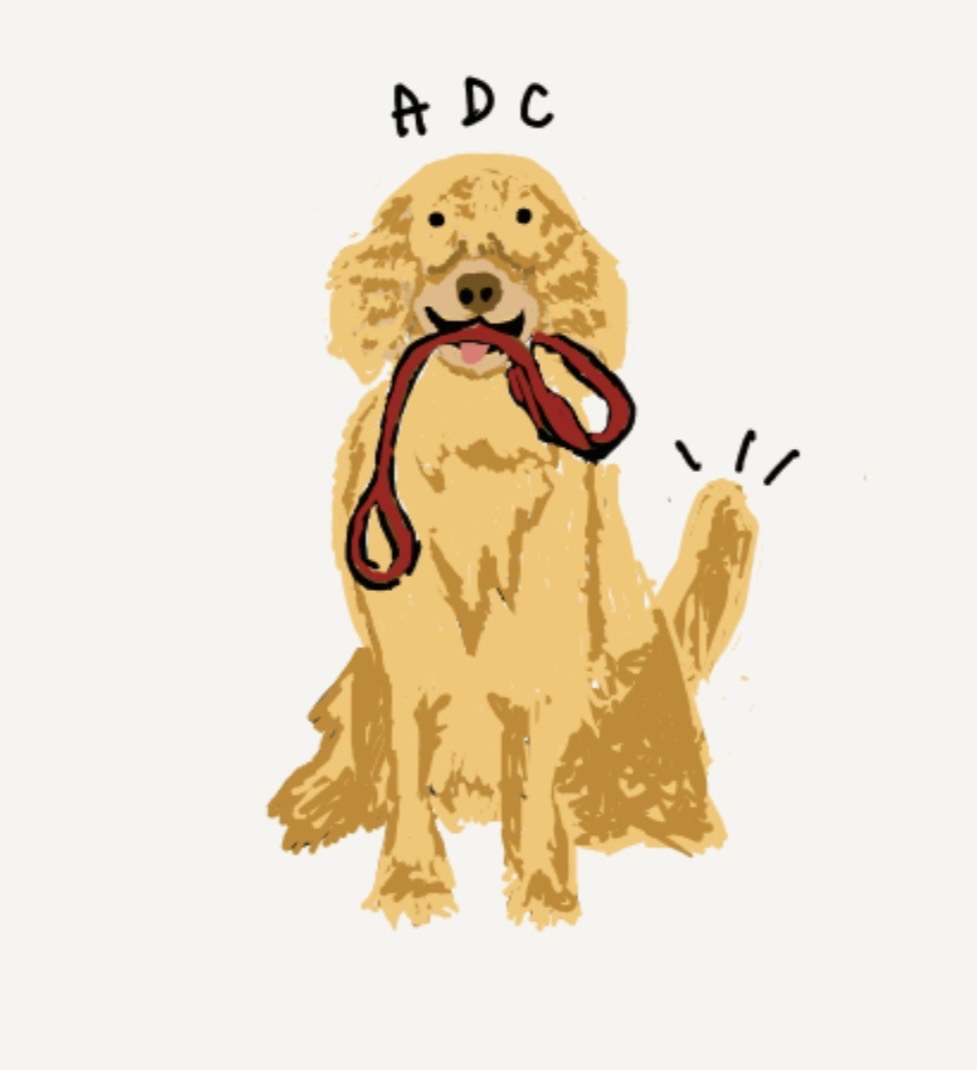 Original hand drawing — a golden retriever sitting with his leash in his mouth, tail wagging, ADC above his head