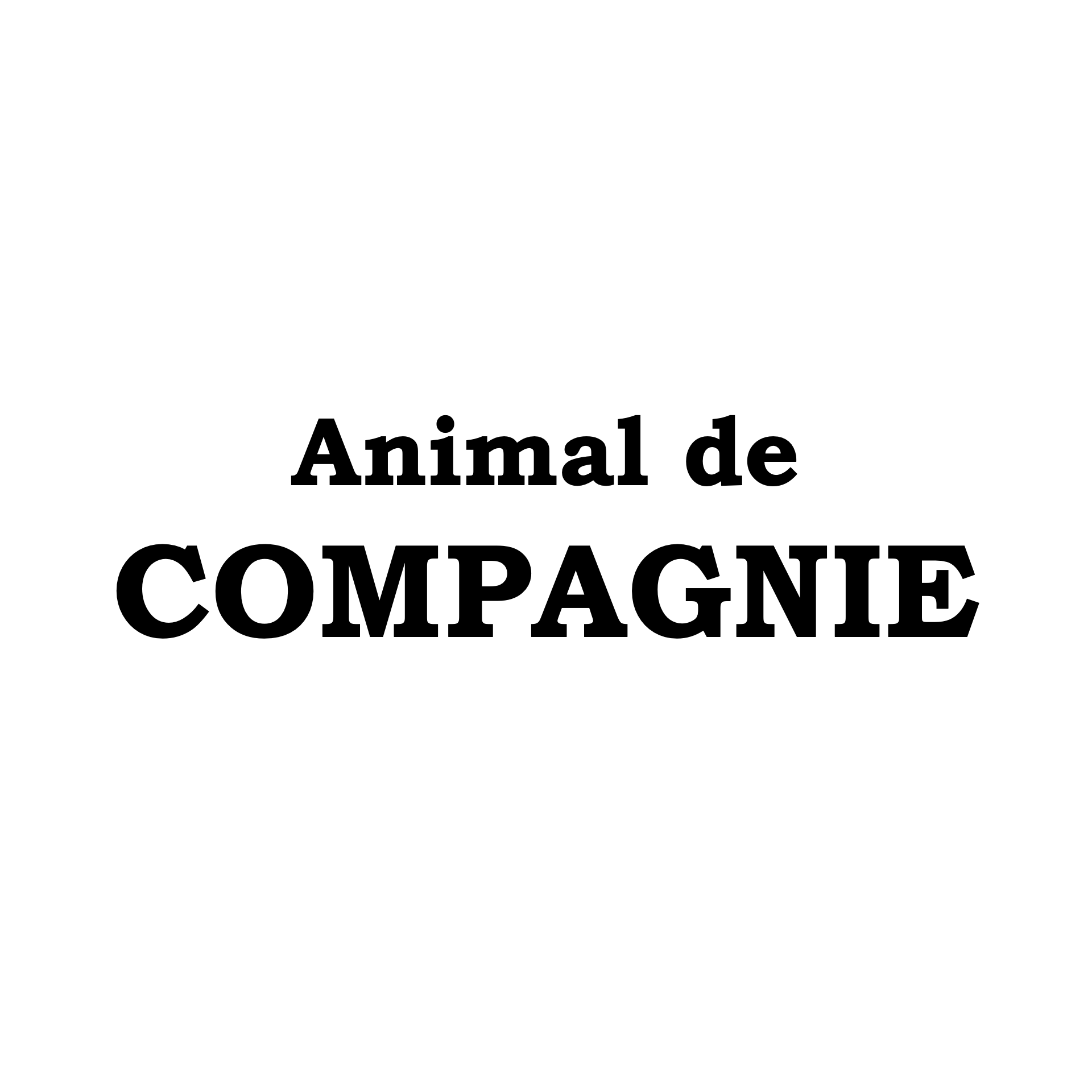 Animal de Compagnie