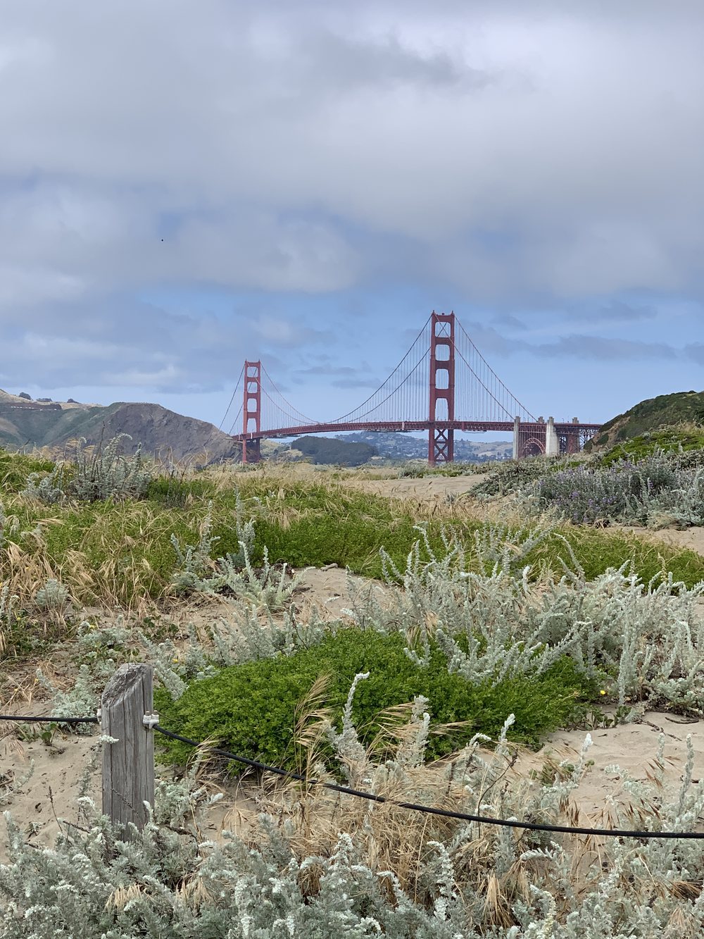 Golden Gate Bridge seen across the coastal dunes, San Francisco
