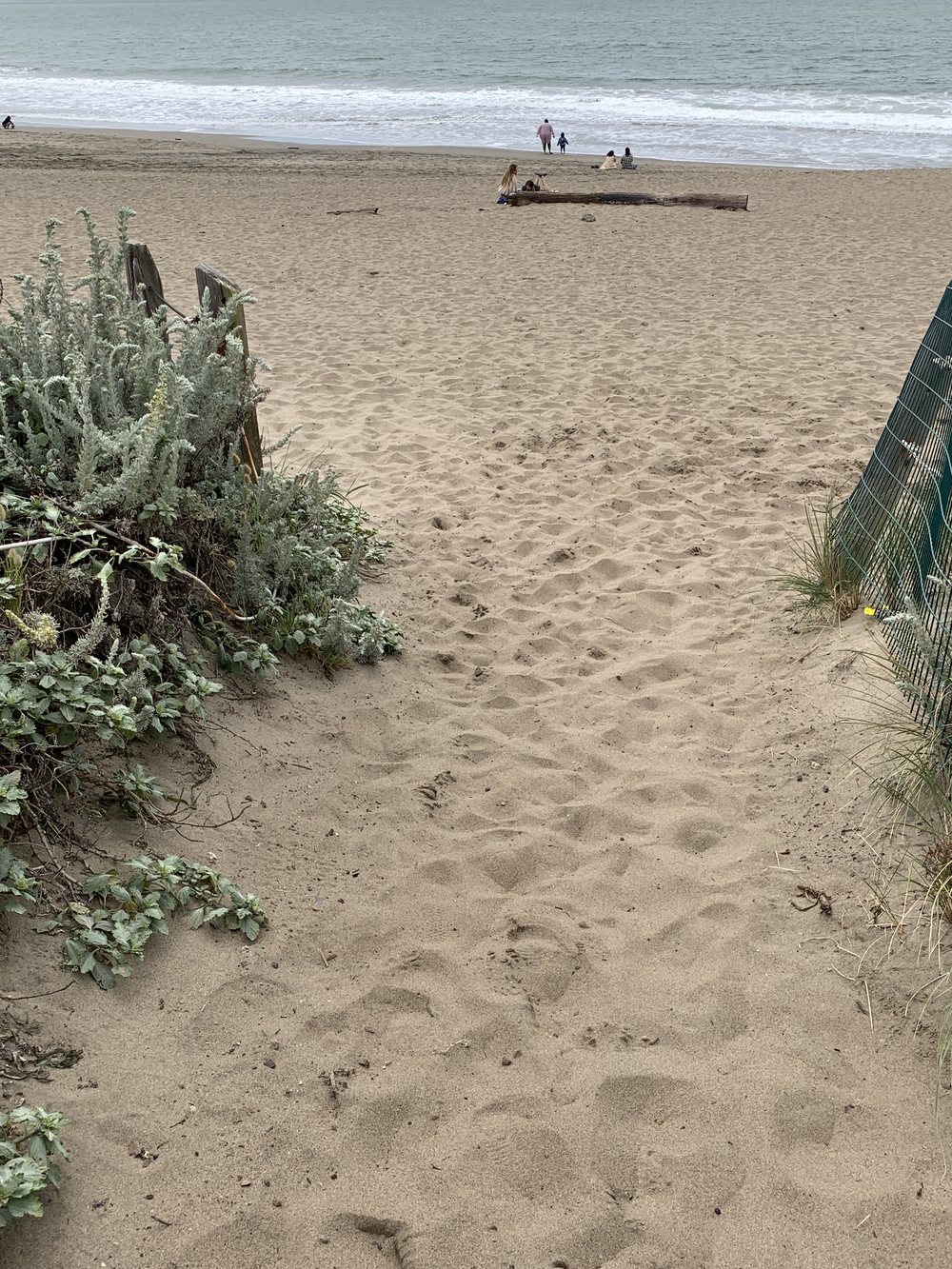 Sandy path through the dunes down to the ocean, San Francisco